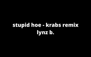 stupid hoe - krabs remix