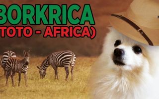 Borkrica [Toto]