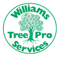 Tree Services Perth | Tree Removal & Tree Lopping