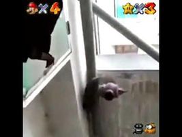 Mario 64(Suicidal Rat Meme)