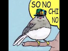 JJBA bird meme