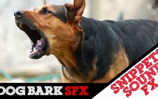 Dog Bark SFX | Snippets Sound Effects