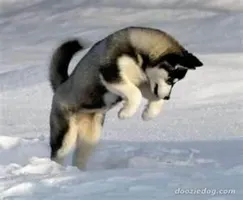 Some quotes for you to laugh at and enjoy... Some quotes for you to laugh at and enjoy...