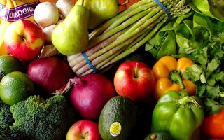 Is it true that the vegetarian diet can affect the development of the brain?