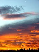 Type of story/genre to do next? Hi everyone, I was just wondering what type of story I should write next after City of Flames. Type of story/genre to do next? Hi everyone, I was just wondering what type of story I should write next after City of Flames.