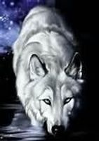 Does anyone here play Wolf Quest??? I love wolf quest and I want to rp but no one seems to be on the multiplayer