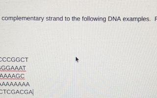 ay yo someone do my biology homework please and thank u i'll give u a bedtime kiss if u do this for me