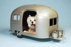 How cool is this kennel? I think its awesome + awesome! What about you?