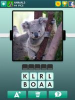 Don't you think this koala is adorable? I was playing this quiz game where you have to name the animal and the koala came up as a question. Isn't it just so cute?