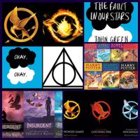 Which fandoms are you in? I am in a few fandoms. I am in the following fandoms:  Ariana Grande Divergent Harry Potter Fifth Harmony The Fault in our Stars The Hunger Games Little Mix Percy Jackson/Heroes of Olympus Dove Cameron