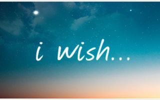 You have one wish make a wish...