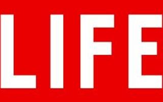 Do You Have Any Life Questions/Therioes? I've always wondered if we chose our own family and have no memory of it.Or if we are being tested with every bad thing that comes our way and when it's all over we get some amazing thing.Im not sure,but you may think differently.