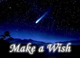 if you could have one wish what would it be? if you could have one wish what would it be?