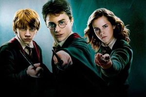 What's your favorite Harry Potter ship? What's your favorite Harry Potter ship? Well, mine is Harry Potter x Hermione Granger