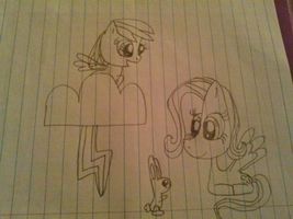 do you like this picture? It may be blurry. Its supossed to be fluttershy and rainbow dash.