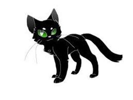 In the book where Hollyleaf died do you think she should stay alive or stay dead? I would rather have her alive she is my fave warrior cat & I would never want her dead but I need your opinions if you want her dead or alive?