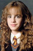 If Hermione is so smart, why is she in Griffindor? Hermione should be in Ravenclaw.