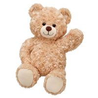 What Kind of Stuffy do/did you have? Do/did you have a stuffed animal? What does it look like? Does it have a name?