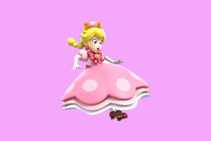 What are your thoughts on PEACHETTE? Peachette is Toadette from Mario but with a super crown. BAM! She looks like a human when she wears a hat? What is going on here? Seriously.