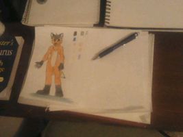 Are you a Furry? I is a furry and do say if you are to. You can say your idea but NO bad words. I just want to now howmany furries there are on this web site. You no need to have a fursuit to be a furry. You just need to have a OC (original character)