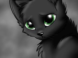 What's my favorite warrior cat You are you pick plz hi boo stuff me hi pooc hop?