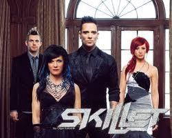 What's your opinion on Skillet? Just curious, and this is for anyone who knows or hear their music. So, what do you think of them?