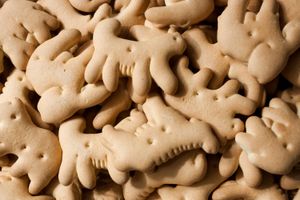 Do vegetarians eat animal crackers?