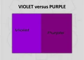 Does or did your art teacher yell at you when you said "purple"? Lol! My art teacher says it alot! I like saying purple. Does or did your art teacher yell at you when you said "purple"? Lol! My art teacher says it alot! I like saying purple.