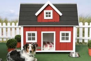 What about this kennel? I think it is really cool! What do you think?