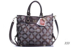 what a bout this bags ?  I want to buy the best,doyou Introduction other to me？ http://www.coachbagsclearanceonline.com/