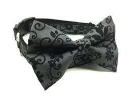 What kind of dog would suit this Bow Tie Collar? I don't know....