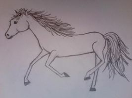 do you like the picture I drew of a horse? I did not copy it. Please answer!!! :) (Please don't lie)