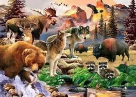 What animal do you want to be? If you could change into at animal, and live their life, which animal would you chose? All animals excepted, mythical, made up, and humans. Also know animals, so who would you pick? What animal do you want to be? If you could change into at animal, and live their life, which animal would you chose? All animals excepted, mythical, made up, and humans. Also know animals, so who would you pick?