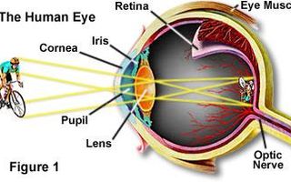 What is the resolution of the human eye in megapixels?