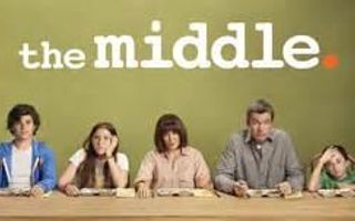 Where can I watch The Middle online for free? My parents stopped paying for the entertainment feature on Now TV, which means that I don't have Comedy Central anymore, and I can't watch The Middle. So I need a way to watch it online for free.  I've tried to look for websites to watch it on, but all of them either don't work or are only available in America. Do you guys know anywhere that will work for me?