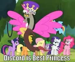 Is Discord is Awesome ?