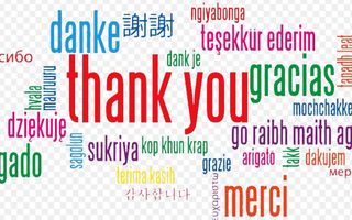 What are you thankful for? Me:I'm thankful for anime,video games,books,tablets,phones,netendo, Pokemon,my followers,music,glasses,wifi,school(sometimes),animals,food- ?:What about the people in your life? Me:Oh,what?Uh,yeah,yeah,whatever gets you up in the morning. (P.S:ITS NOT CHRISTMAS YET SO DONT YOU DARE HANG THOES LIGHTS OR CUT TREES DOWN! Thank you :) )