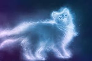 What is your patronus?