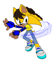 SonicBoy100