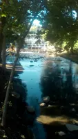 TrashCow TrashCow