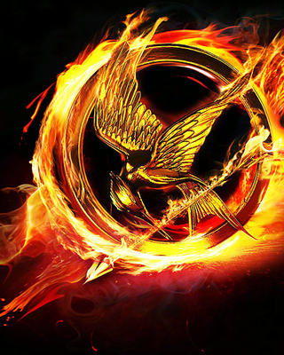 How well do you know the Hunger Games? (8)