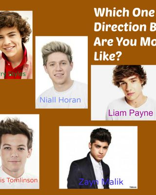 Which One Direction Boy Are You Most Like?