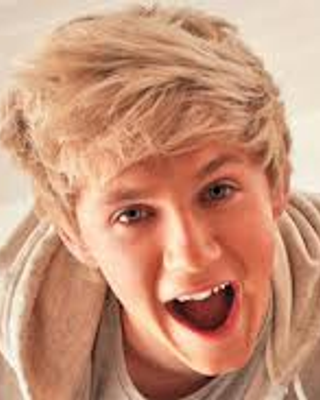 How about Nialldo's? ~ A Niall Horan and 1D Fan-fic ~