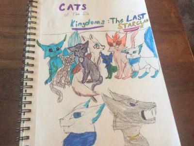 Cats of the six kingdoms; The last Starclaw-comic