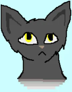 Warriors OC Club Warriors OC Club