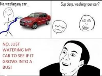 MEMES!'s Photo MEMES!'s Photo