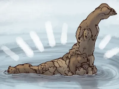 Page for anything!'s Photo Page for anything!'s Photo