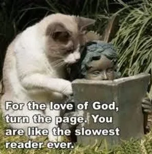 THE LOL PAGE :D's Photo THE LOL PAGE :D's Photo