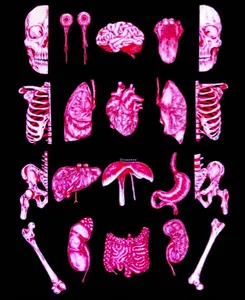 My Aesthetics's Photo My Aesthetics's Photo