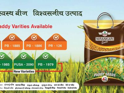 Nirankari Seeds-Best online seed stores in India